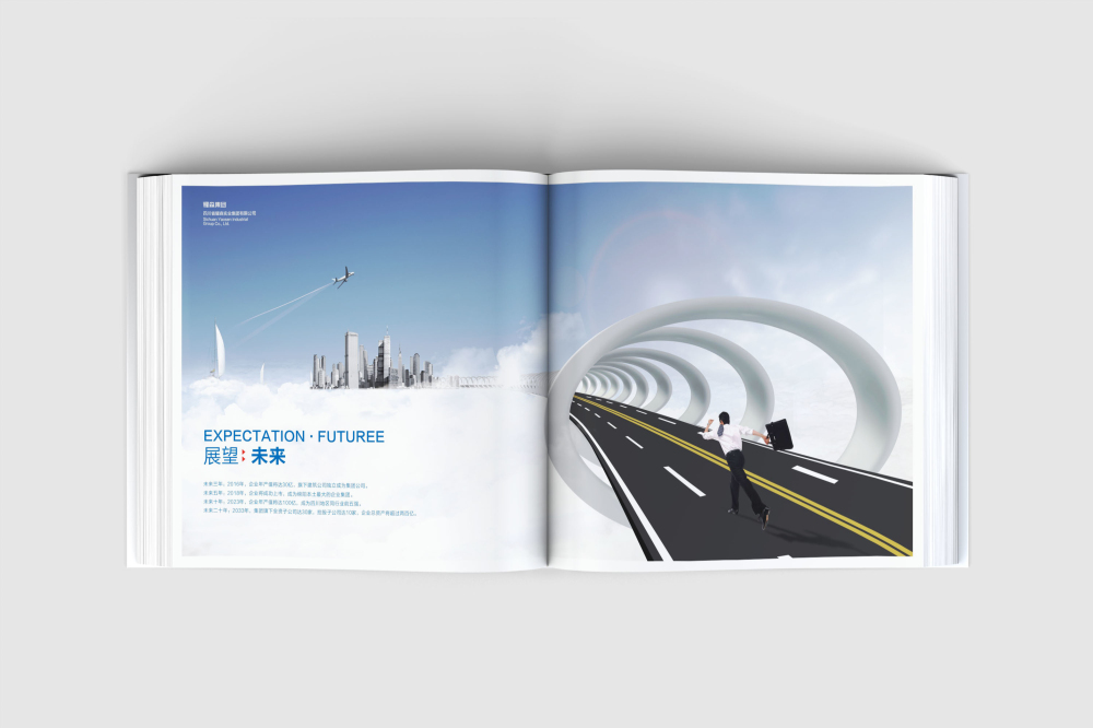 土默特右旗画册设计